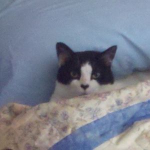 Meet your Posher, Mary